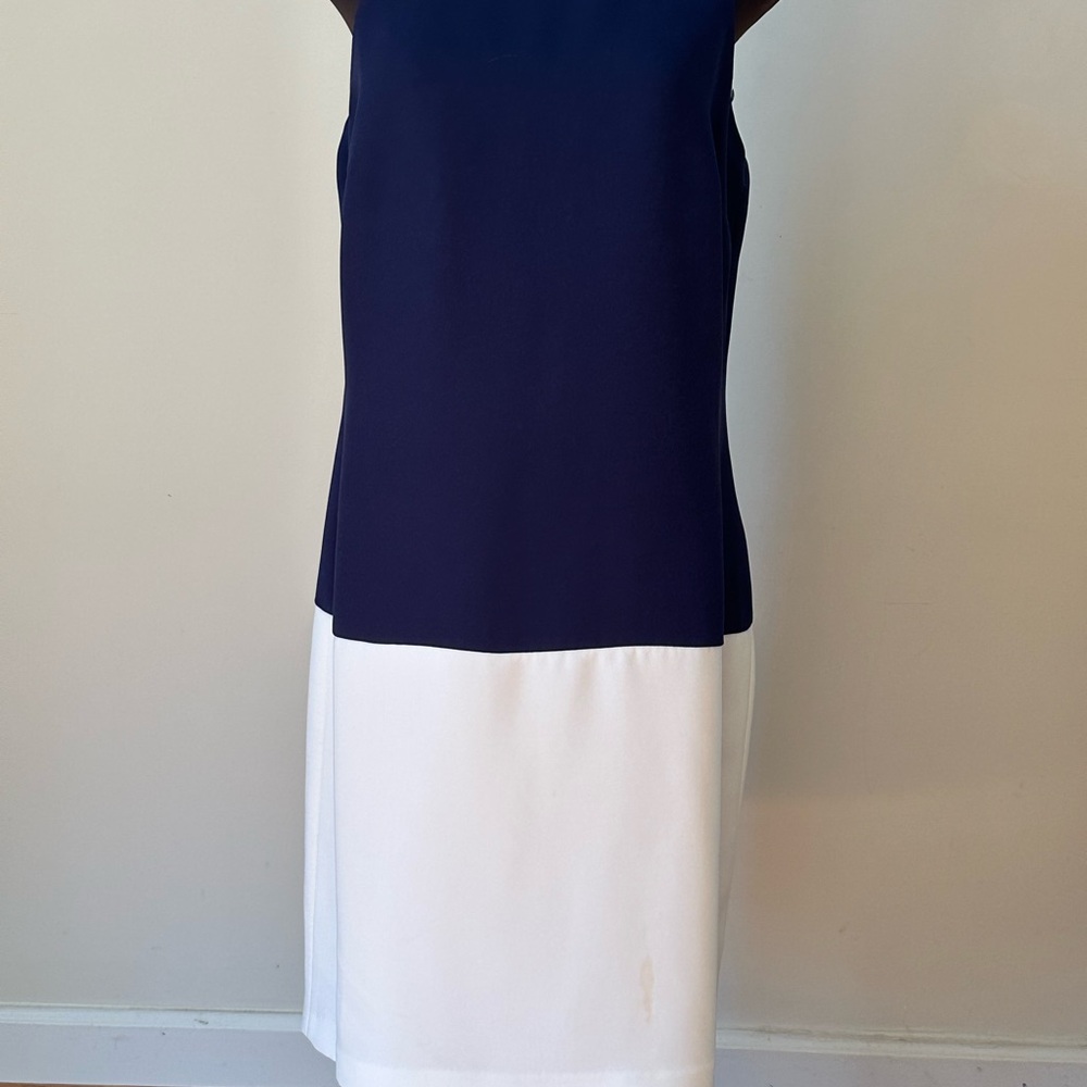 Navy and White Sleeveless Dress